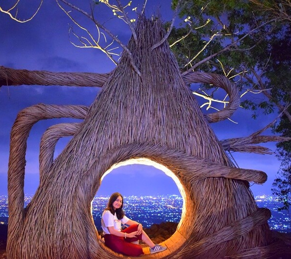pinus pengger - mainkejogja.com