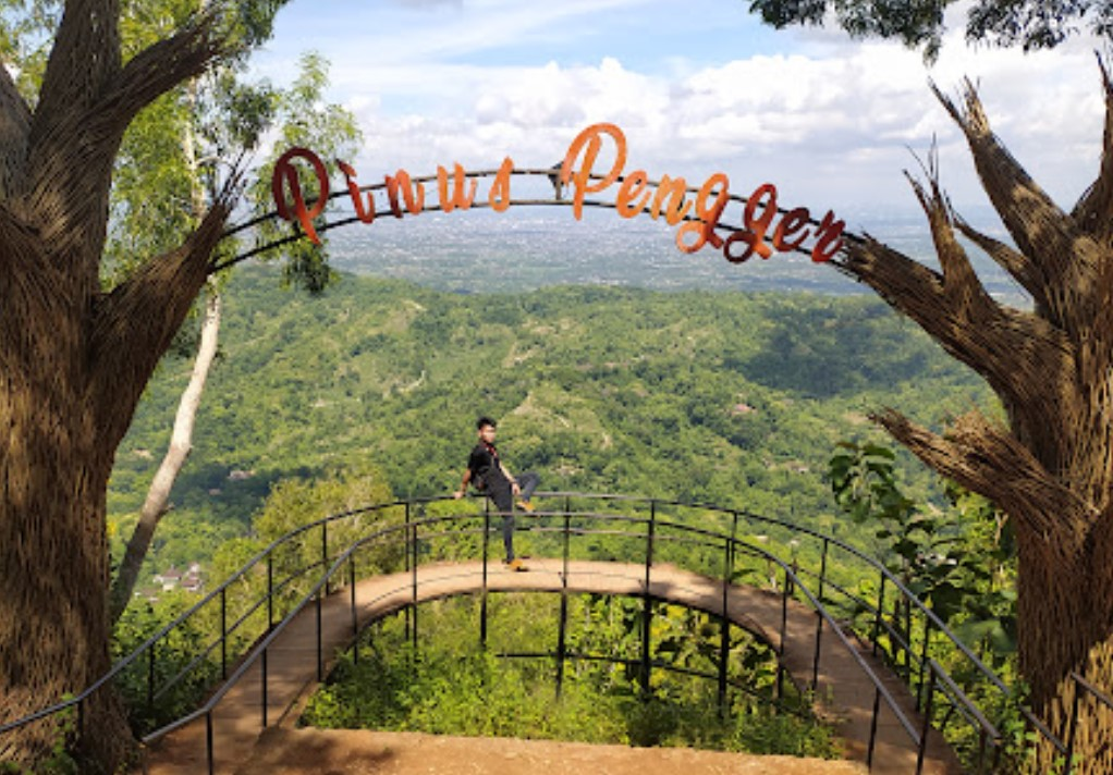 pinus pengger - mainkejogja.com