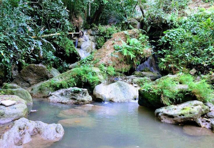 Goa Selarong: Jejak Perjuangan Pangeran Diponegoro di Tengah Pesona Alam Bantul